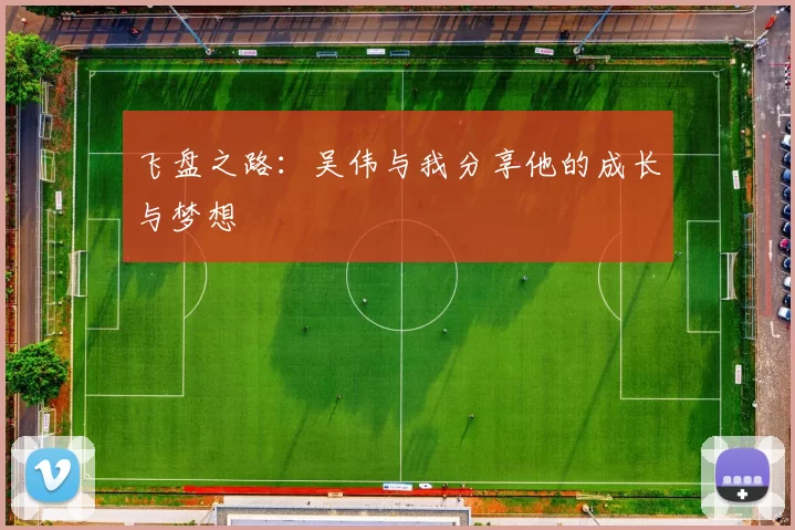 飞盘之路：吴伟与我分享他的成长与梦想