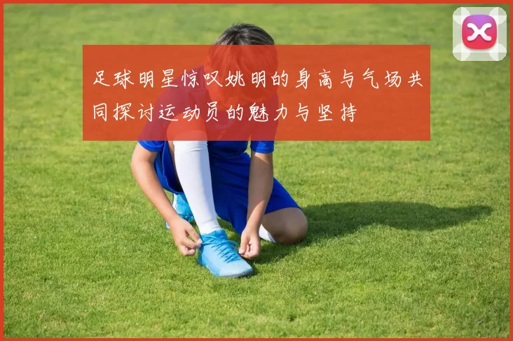 足球明星惊叹姚明的身高与气场共同探讨运动员的魅力与坚持