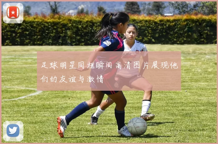 足球明星同框瞬间高清图片展现他们的友谊与激情