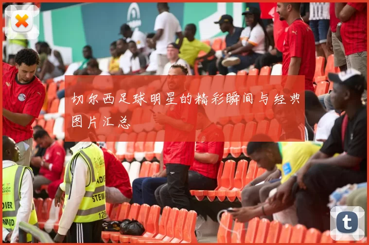 切尔西足球明星的精彩瞬间与经典图片汇总