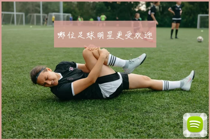 哪位足球明星更受欢迎