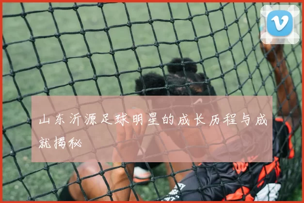 山东沂源足球明星的成长历程与成就揭秘