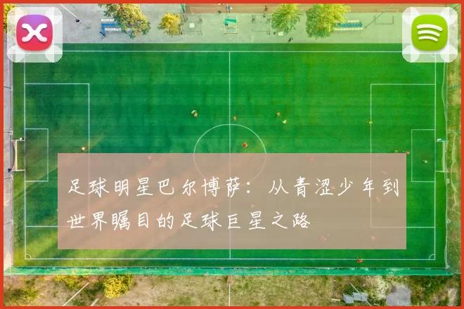 足球明星巴尔博萨：从青涩少年到世界瞩目的足球巨星之路