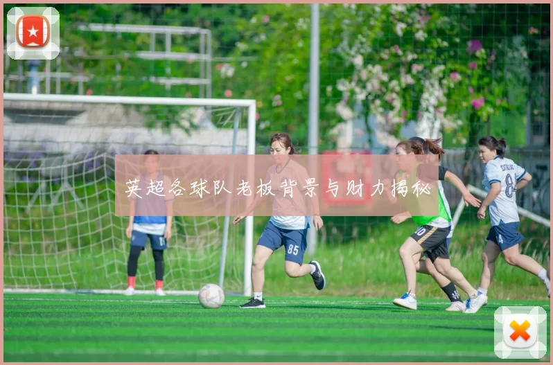英超各球队老板背景与财力揭秘