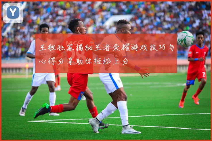 王敏独家揭秘王者荣耀游戏技巧与心得分享助你轻松上分