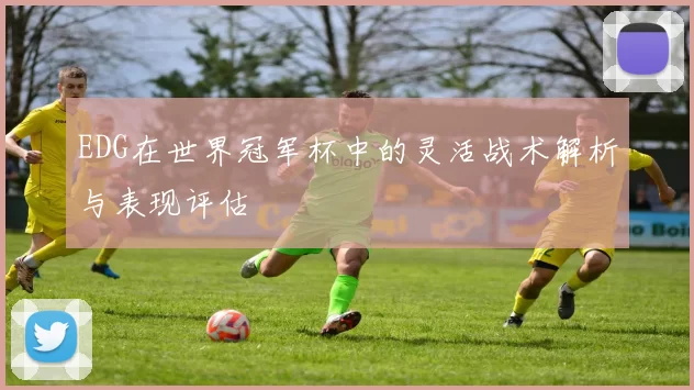 EDG在世界冠军杯中的灵活战术解析与表现评估