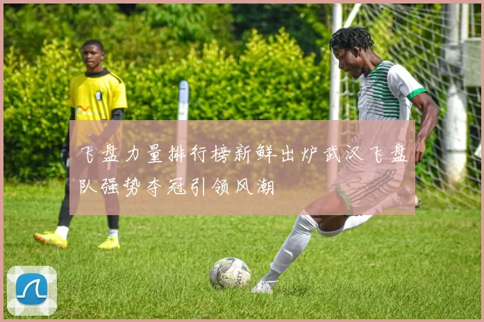飞盘力量排行榜新鲜出炉武汉飞盘队强势夺冠引领风潮