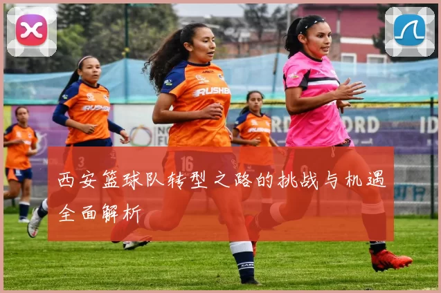 西安篮球队转型之路的挑战与机遇全面解析
