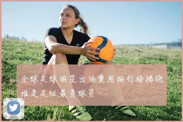 全球足球明星出场费用排行榜揭晓谁是足坛最贵球员