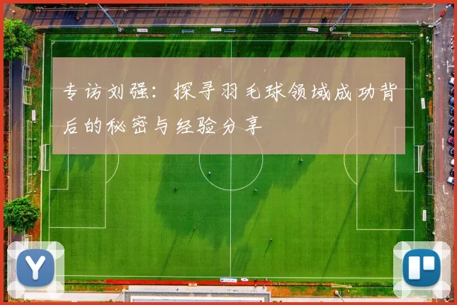 专访刘强：探寻羽毛球领域成功背后的秘密与经验分享