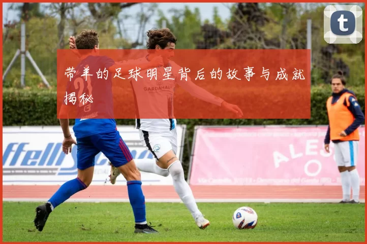带羊的足球明星背后的故事与成就揭秘