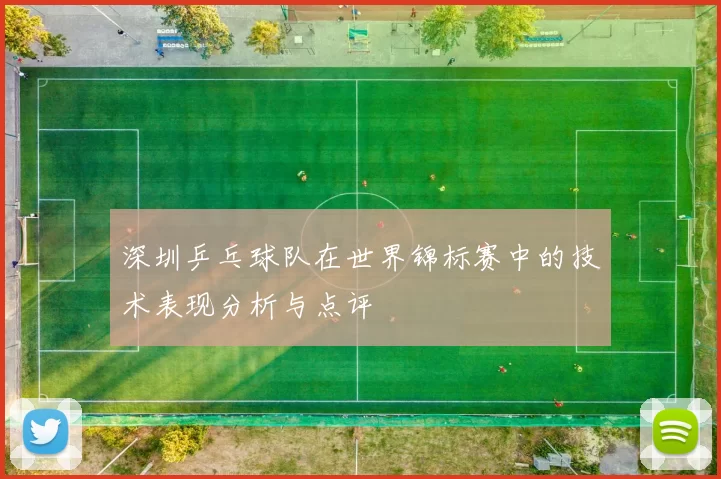 深圳乒乓球队在世界锦标赛中的技术表现分析与点评