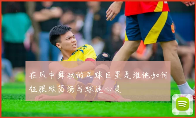 在风中舞动的足球巨星是谁他如何征服绿茵场与球迷心灵