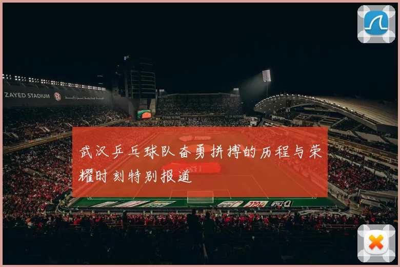 武汉乒乓球队奋勇拼搏的历程与荣耀时刻特别报道