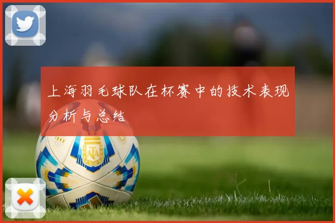 上海羽毛球队在杯赛中的技术表现分析与总结