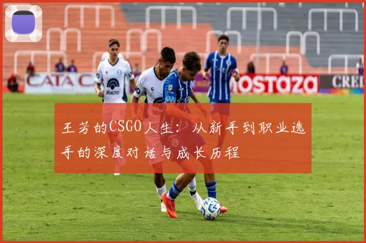 王芳的CSGO人生：从新手到职业选手的深度对话与成长历程