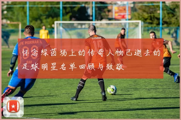怀念绿茵场上的传奇人物已逝去的足球明星名单回顾与致敬