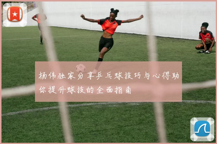 杨伟独家分享乒乓球技巧与心得助你提升球技的全面指南