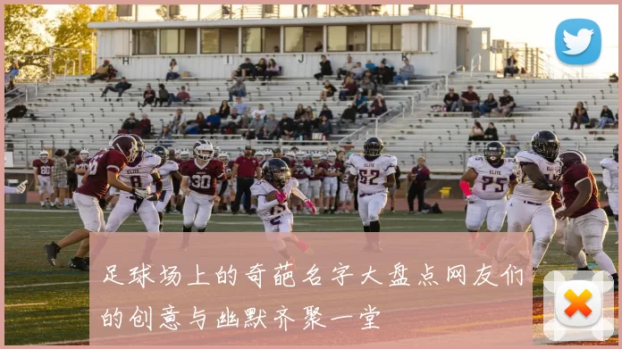 足球场上的奇葩名字大盘点网友们的创意与幽默齐聚一堂