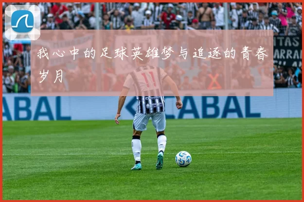 我心中的足球英雄梦与追逐的青春岁月