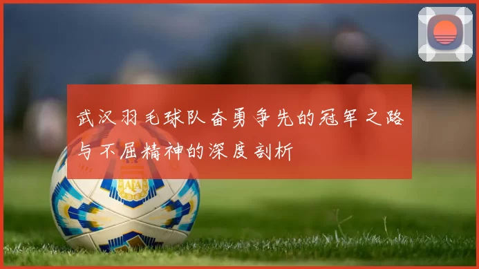 武汉羽毛球队奋勇争先的冠军之路与不屈精神的深度剖析