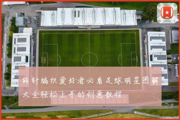 钩针编织爱好者必看足球明星图解大全轻松上手的创意教程